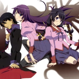 The Monogatari Series; Are Translations Even Worth Our Time ?